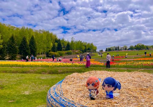 北海道から戻りました。
地元の友人とも会えて良い旅になりました。

🌱💐❤️🩵💜🌷