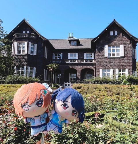 空飛ぶ私と福丸さんです⛪️🌞🌹🪽🪽🩵