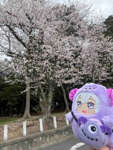 ちっちゃうまえに🌸
きんじょのじんじゃです⛩️