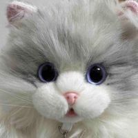 🐾🐱ミヌと家族の物語‪🐶🐾
