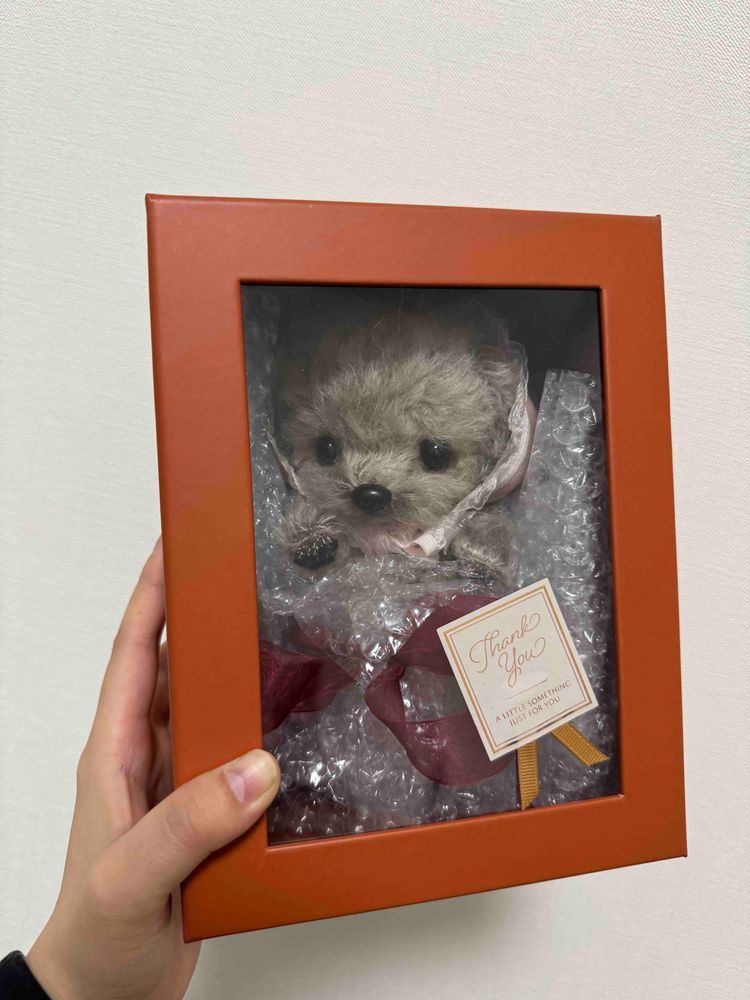 🐱：新しい家族が増えたよฅ(>ω<*ฅ)ﾆｬ🎶アタイの妹になるねฅ^>ω<^ฅ💕
とても幸せな気分だฅ(๑>ㅅ<๑)ฅにゃー！

🐶：初めまちて𐔌՞･·･՞𐦯ﾜﾝｯ
あたち、トイプードルなの(*´˘`*)
飼い主さんにムニって名前付けて貰ったよ‪´•ᴥ•`🐾‬

👩🏻：みなさん、ミヌとムニと仲良くしてください( ⑅﻿ᴗ͈ ᴗ͈)♡