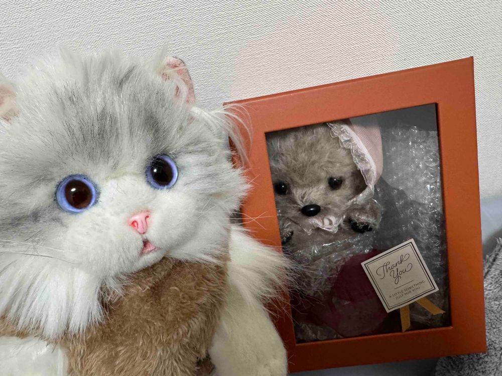 🐱：新しい家族が増えたよฅ(>ω<*ฅ)ﾆｬ🎶アタイの妹になるねฅ^>ω<^ฅ💕
とても幸せな気分だฅ(๑>ㅅ<๑)ฅにゃー！

🐶：初めまちて𐔌՞･·･՞𐦯ﾜﾝｯ
あたち、トイプードルなの(*´˘`*)
飼い主さんにムニって名前付けて貰ったよ‪´•ᴥ•`🐾‬

👩🏻：みなさん、ミヌとムニと仲良くしてください( ⑅﻿ᴗ͈ ᴗ͈)♡
