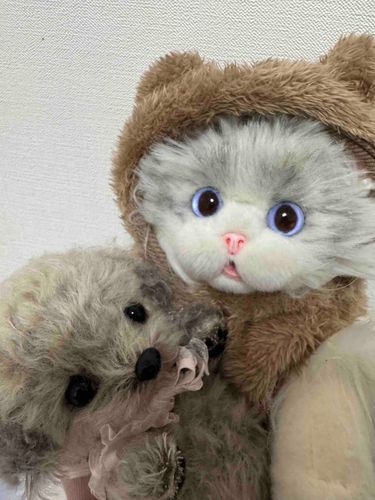 🐱：今日は主とアタイと妹のムニとお家でゴロゴロしてるよฅ(>ω<*ฅ)ﾆｬ🎶