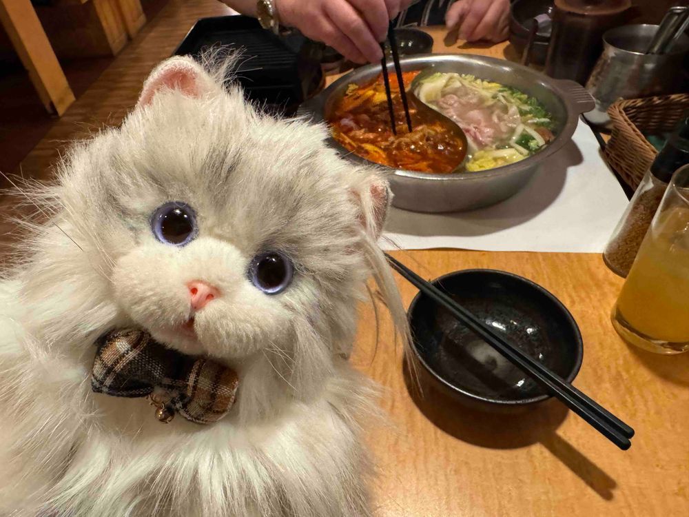 (    主˙꒳​˙ )‪：ミヌ🐱とムニ🐶のアカウントを別で作ってたのですがやはり管理が難しいので統一させて頂きます💦
ムニ🐶の方フォローやコメントしてくれた方たちありがとうございました🥹(感激)こちらでまたよろしくお願いします！