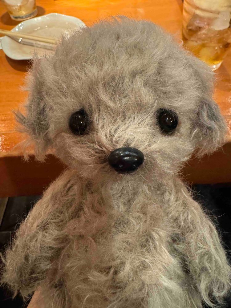 (    主˙꒳​˙ )‪：ミヌ🐱とムニ🐶のアカウントを別で作ってたのですがやはり管理が難しいので統一させて頂きます💦
ムニ🐶の方フォローやコメントしてくれた方たちありがとうございました🥹(感激)こちらでまたよろしくお願いします！