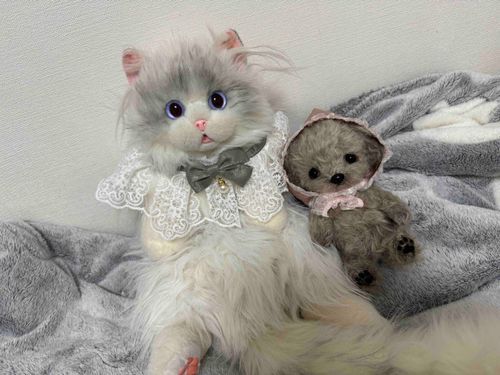 🐶：今日は主が大掃除してるのですฅ՞•ﻌ•՞ฅﾜﾝ♡
🐱：アタイたちは大人しく見守ってる🐾͟͟͞= ฅ͟͟͞ = ( •ω•´ ฅ )ﾈｺﾊﾟﾝﾁ