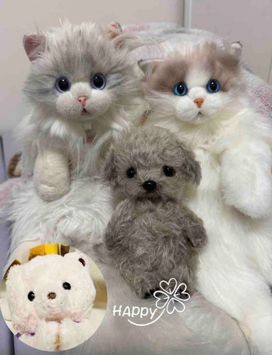 みなさん、明けましておめでとうございます🎍✨
そして年明け早々に新しい家族が増えました🐱
ラグドールの女の子です(❁´ω`❁)
名前はメシエルちゃんです。
あだ名はシエルです💕

お友達のシアちゃんにお願いして名付けて貰いました(⋆ᴗ͈ˬᴗ͈)”🍀𓂃𓈒𓏸︎︎︎︎
名前の由来は瞳がお空みたいに綺麗だからフランス語の空「シェル」と🐶🐱の名前の一文字目がマ行で続いてるから「ム」の次の
「メ」をたして『メシエル』ちゃんになりました。
すごく素敵な名前をプレゼントして頂いて良かったねメシエル(*´˘`*)

シアちゃんありがとう♡♡
名前と共に家族の一員として大切にします🍀.*