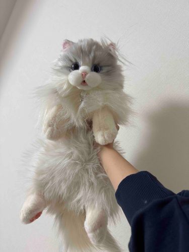 汚れが溜まってたので主に手洗いで洗ってもらってフワフワになったよฅ^•ω•^ฅﾆｬｰ