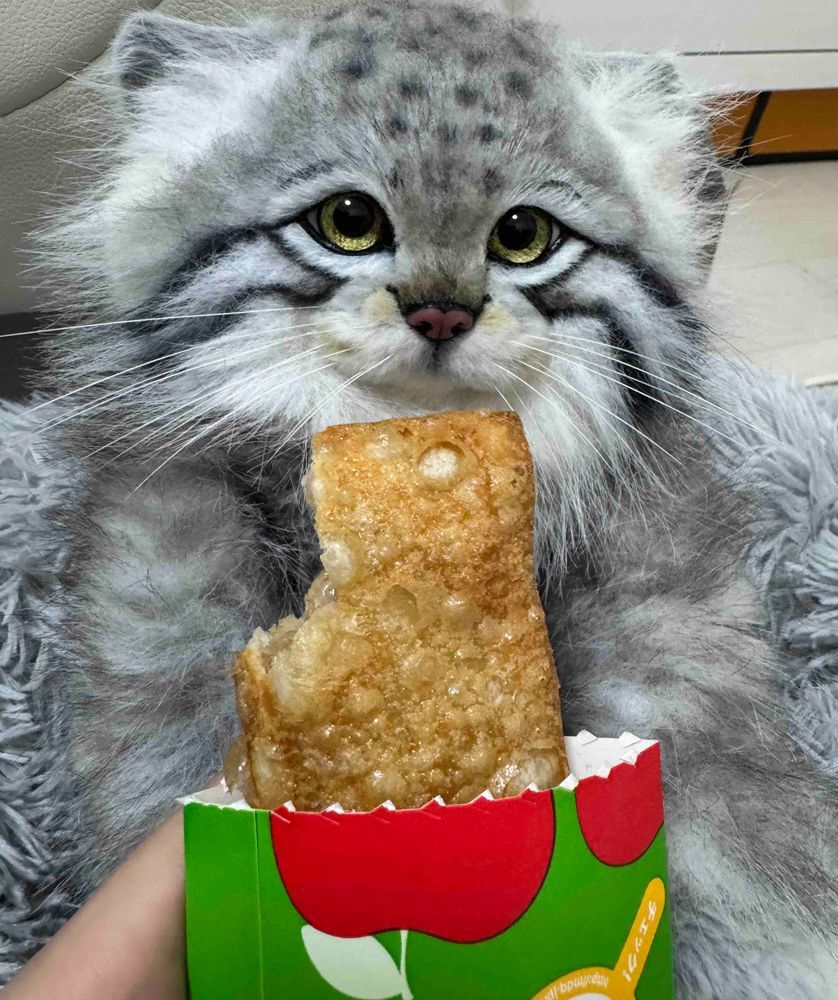 えびフィレオとアップルパイ食べたよ！(*ΦωΦ*)🍀.*
美味しいいい🤟