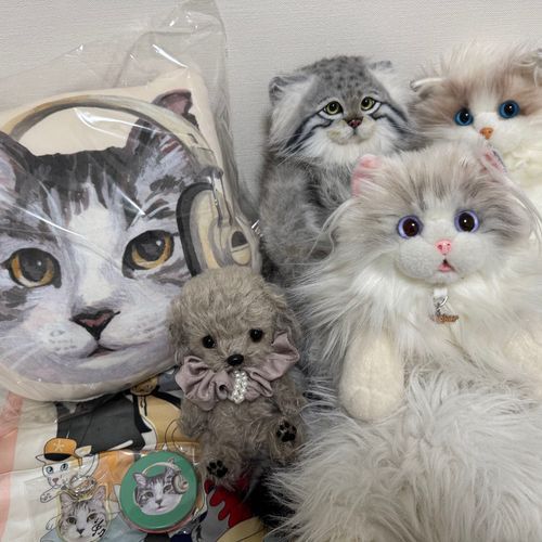今日は
Cats nap timeという雑貨屋さんで猫のグッズをいっぱい買いました✨️
気付いてくれた方もいるかもしれませんが、ミヌのお顔染色途中なのでちょっとヘンテコですが笑ってください(o´罒`o)ﾍﾍｯ♡