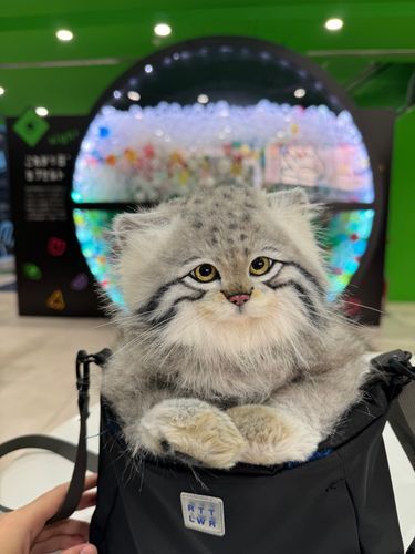 昨日はひとりで色々なところに行ってきたよ(*´˘`*)凄く充実しました✨️