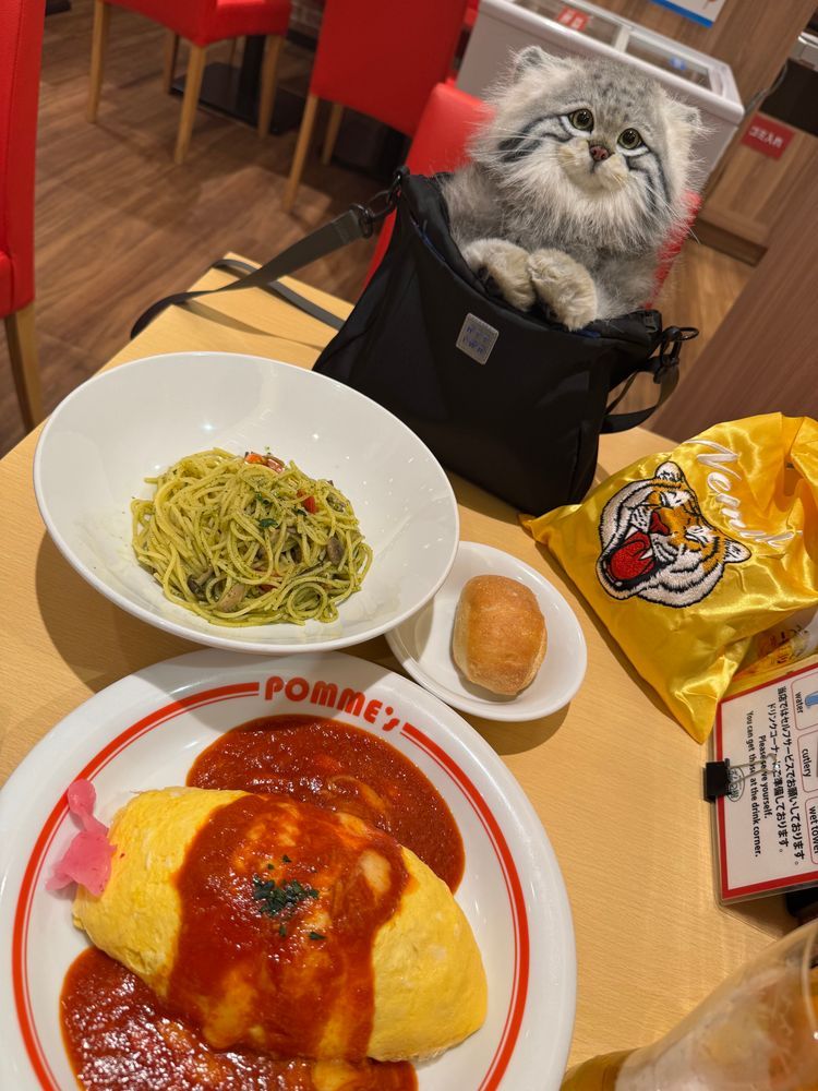 昨日はひとりで色々なところに行ってきたよ(*´˘`*)凄く充実しました✨️