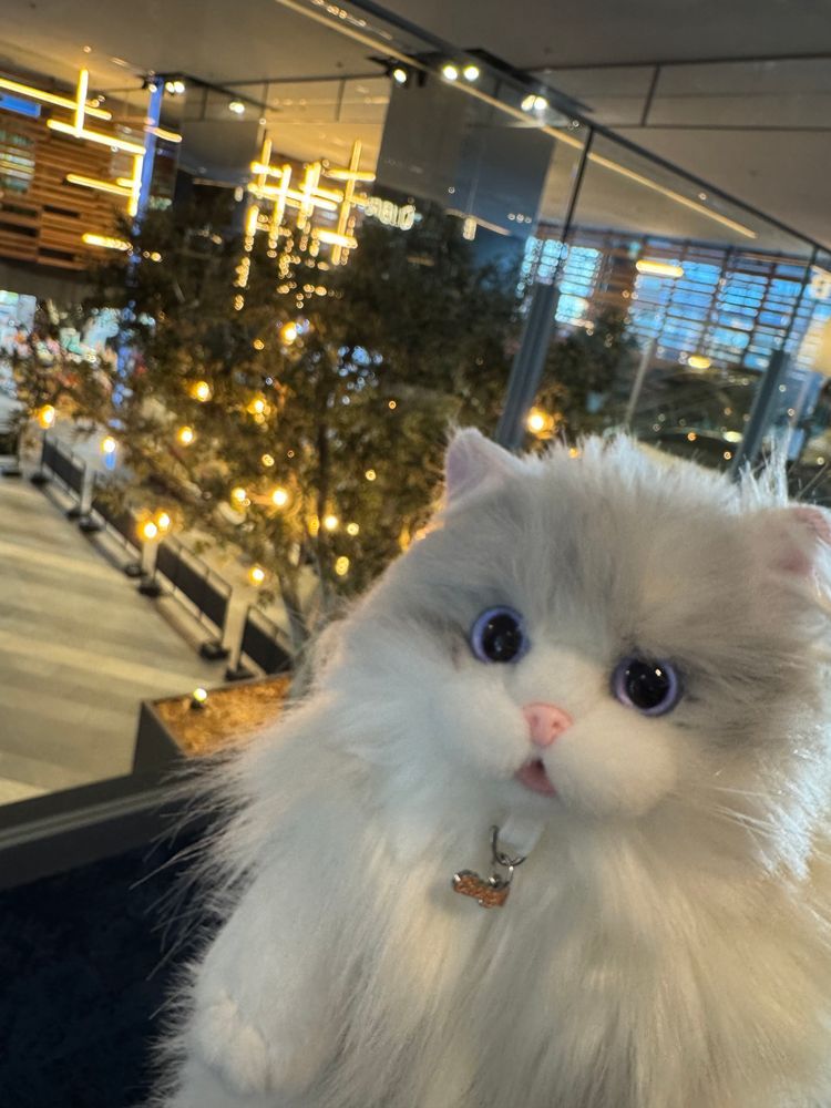 比較です！
茶色塗ったからなんか別の猫ちゃんになっちゃってる！？🥹