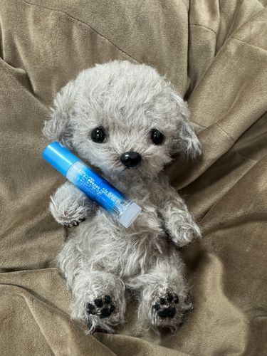 ムニ🐶：わたち、ロート製薬のこのウォーターリップ大好きなのです！🐶🍼
だってテクスチャーがすごく滑らかでとても潤うんですもの！！(   ´･ｪ･`)ｸｰﾝ
あと、今は手元にないけど
メンソレータムの体温で溶けるメルティークリームリップも最高なのです！