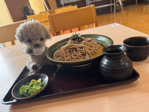ムニとスーパー銭湯に来ました✨️