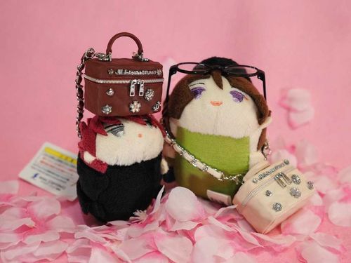 ジルバイもっち(⁠*⁠˘⁠︶⁠˘⁠*⁠)⁠.⁠｡⁠*⁠👜