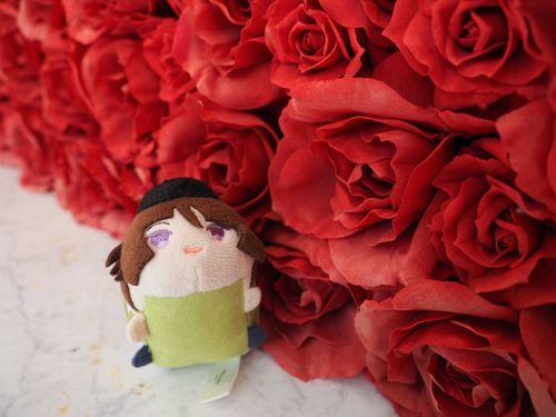 もっち(⁠*⁠˘⁠︶⁠˘⁠*⁠)⁠.⁠｡⁠*⁠🌹