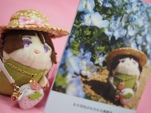 もちもち(⁠｡⁠･⁠ω⁠･⁠｡⁠)⁠ﾉ⁠📘