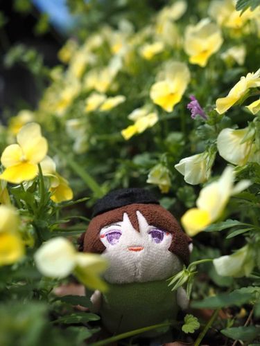 もち(⁠・⁠∀⁠・⁠)