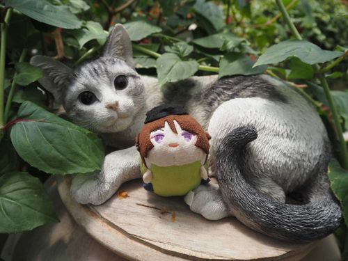 ねっこ！