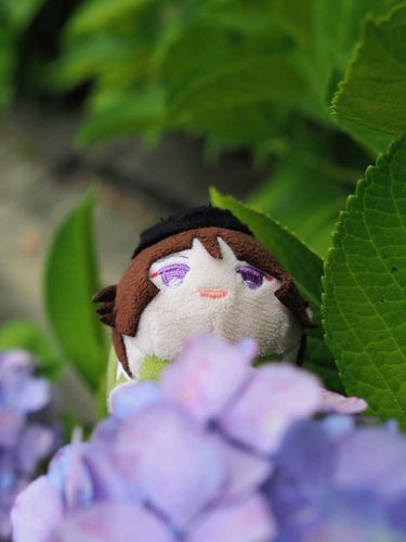 ╰⁠(⁠*⁠´⁠︶⁠`⁠*⁠)⁠╯