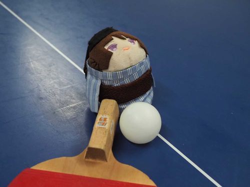 卓球(⁠｡⁠･⁠ω⁠･⁠｡⁠)⁠ﾉ⁠🏓