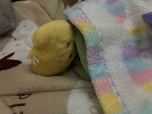 まだ眠いらしい