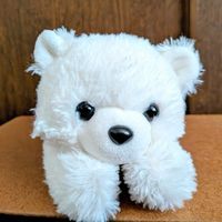 ふぶきちゃん🐻‍❄️