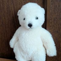 赤ちゃん🐻‍❄️