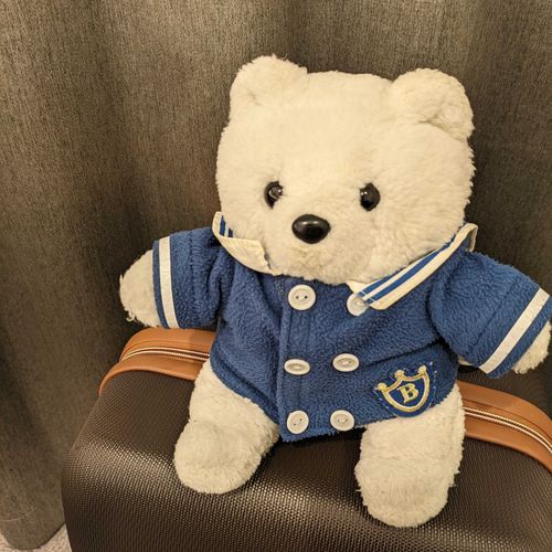 普段はおうちでのんびり

旅先でも一緒にのんびりするよ
