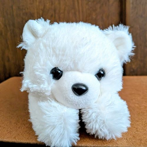 しろくまの【ふぶきちゃん】です
【くまち】とおなじおうちに住んでます

ニトリからおうちにやってきました
からだに手術痕があるよ