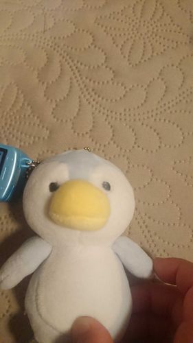 ぺんちゃんだよー
