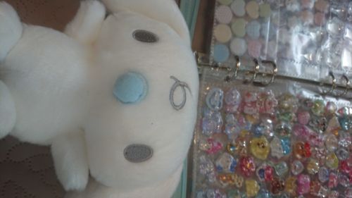 しーるしなもんだいすき