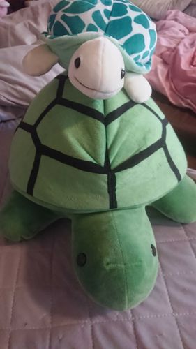 かめのおやこ