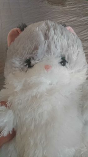 ふわふわねこちゃん
