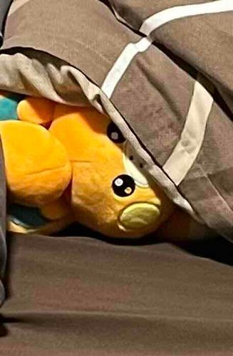 今寝るからそんなに見つめないで
