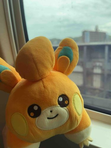 初めての新幹線！窓際で良かったね〜