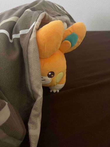 ぱも、みーちゃった