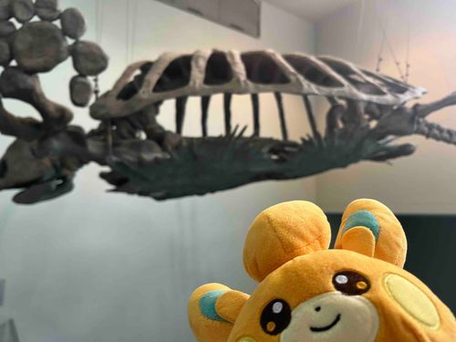 ほねがそらとんでる