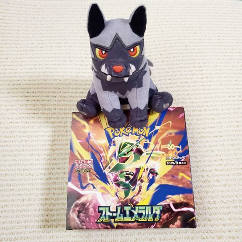 かいふう前のポケカの箱とオレ。きのうこれ引き取りに行くのにつきあった後、相棒とトイ・ストーリー5ってえいがも見たんだが……なんかいろいろ考えさせられたな。


オレも今の相棒に出会う前、ほかのばしょにいたような……あんまり思い出せねえけど。
ずっと暗いとこにいて、ボロボロだったオレを相棒がむかえてくれて、はがれたキバをキズぐすりで治してくれたんだよな……

オレとはずっといっしょだよな、相棒
