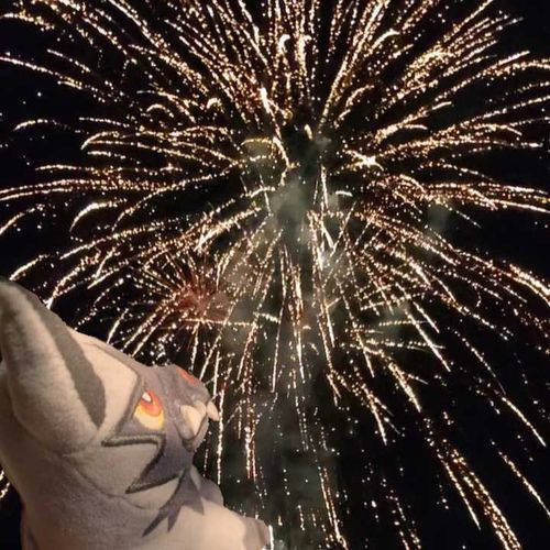 相棒と一緒に、でっかい花火、見てきた。
かがくのちからって、すげー！

実際にはオレはバッグの中から見てたんだが、相棒がアイビスってやつで写真を合成してくれたんだ
えかきのちからってのも、すげー！