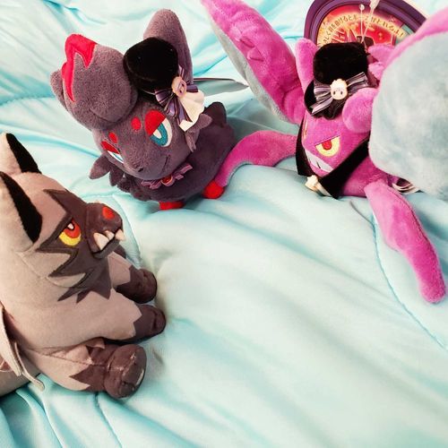 相棒のやつ、どうやら新しい仲間もゲットしてきたらしい。ゾロアもクロバットも、なんだか浮かれた格好してるな？
ま、これからよろしくな