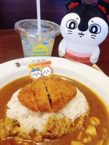 今日は先生とセイレーンさんと3人でカレーを食べに行きました🍛
わたくしね、この度初めてカメラ係を担当しましたの！上手に撮れてるねって、先生にたくさん褒めていただきました✨️