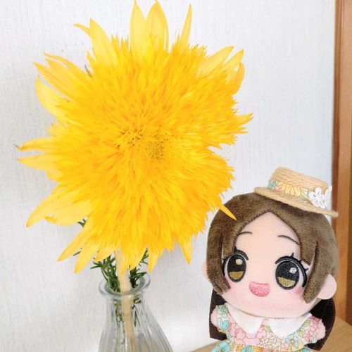 八重咲きのひまわりです🌻
とってもふわふわで、大きいですわ〜！
