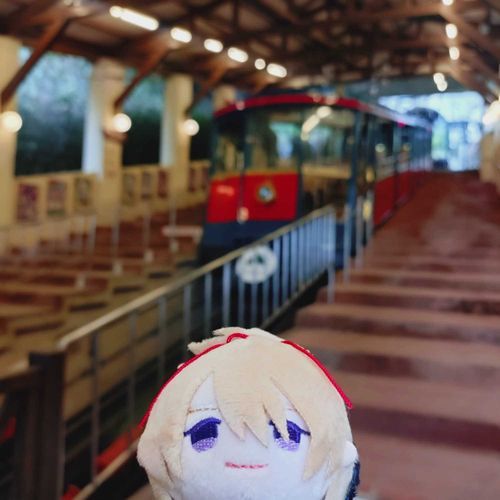 今回は俺も主の旅の供をつとめたよ。
これはケーブルカーというらしい。初めて乗ったけれど、電車とはまた違った景色と乗り心地で、風情があるね。