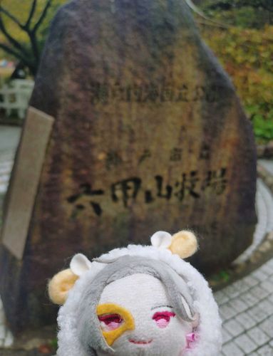 先日主人がどうしても羊が見たいというから、牧場に行ってきたんだ。
生憎の天気で家でくつろぐ姿しか見られなかったが、主人が喜んでいたから良し、かな。