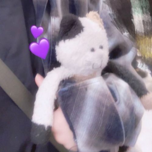 推しぬい届くの待ち遠しい🧑‍🩰