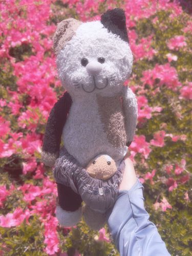 物心ついた時からずっと一緒の相棒
三毛猫のチャーミーさんって言います⊂(  ･ω･ )⊃♡♡