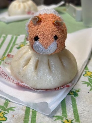 チャーミーさんのパンツの中に必ず入ってるチャーミーさんの相棒の
じんごろさん です♡
ハムスターでちっちゃくて可愛い🥰