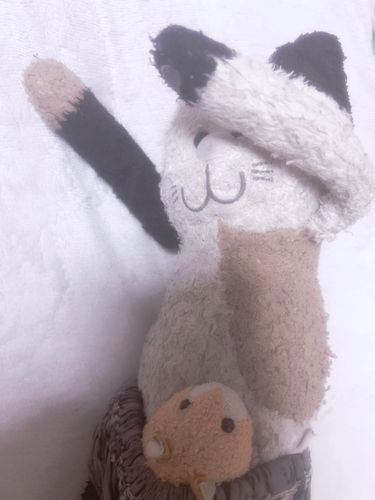 雨だからかチャーミーさんも元気が無いです🥹